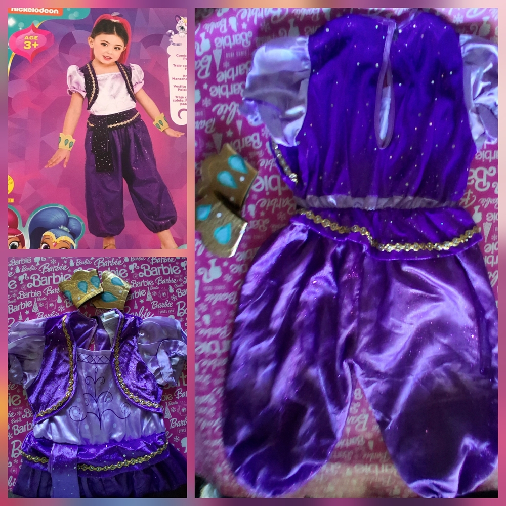 Nickelodeon SHIMMER Purple Gold GIRLS Costume Size 4-6T EUC